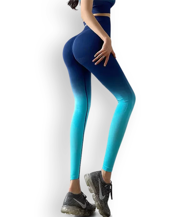 Aika.ro Colanti dama gradient albastru