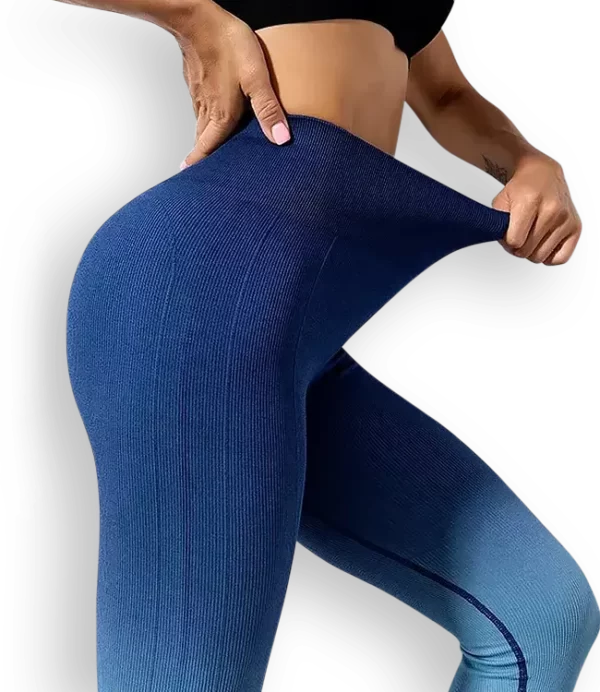 Aika.ro Colanti dama gradient albastru